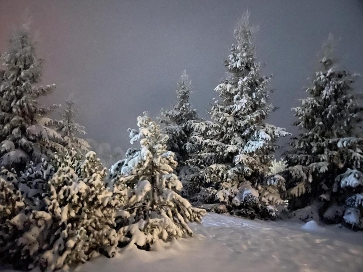 Chalet Ro Peştera Dış mekan fotoğraf