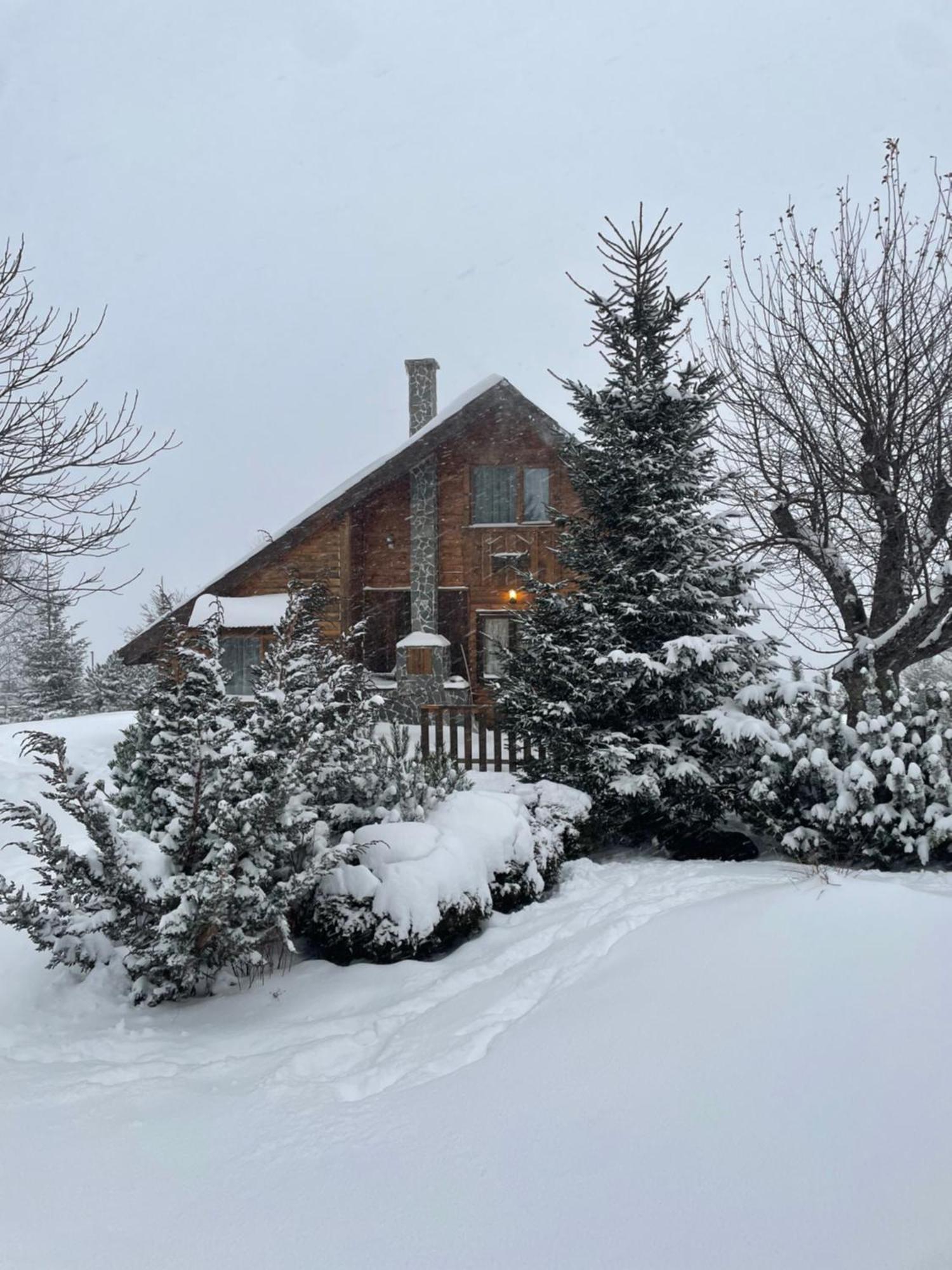 Chalet Ro Peştera Dış mekan fotoğraf