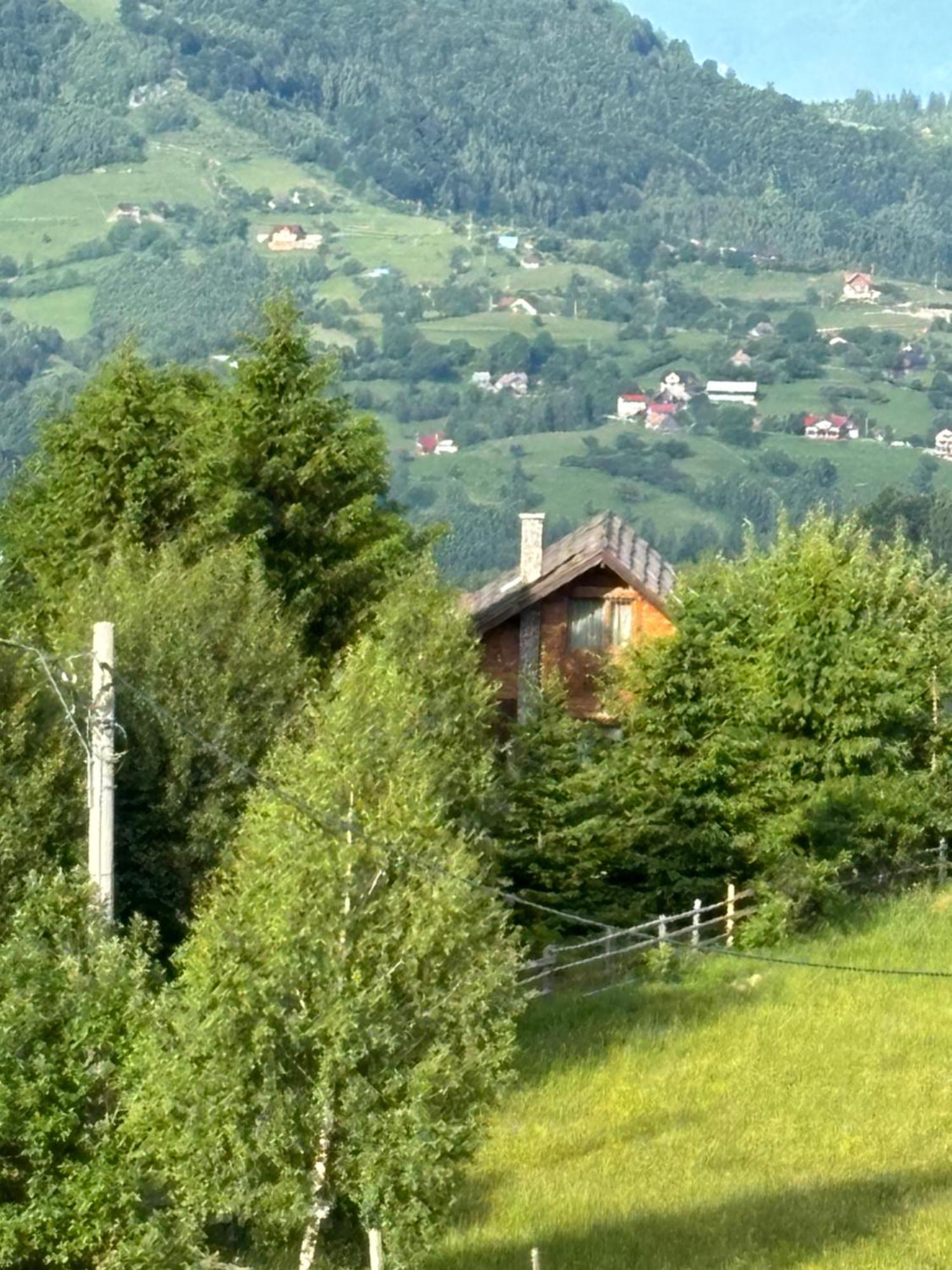 Chalet Ro Peştera Dış mekan fotoğraf