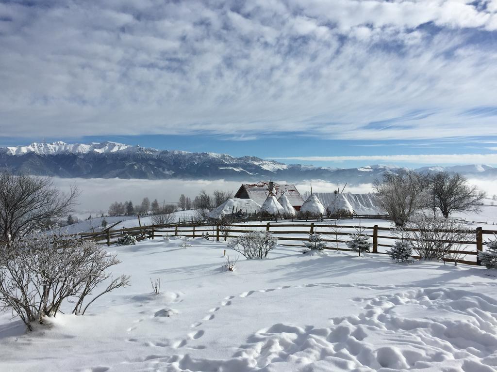 Chalet Ro Peştera Dış mekan fotoğraf